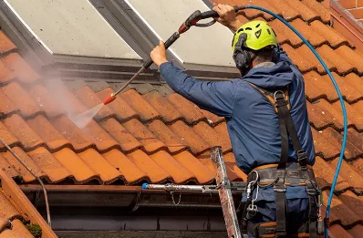 Démoussage et hydrofuge de toiture à Aries-Espénan